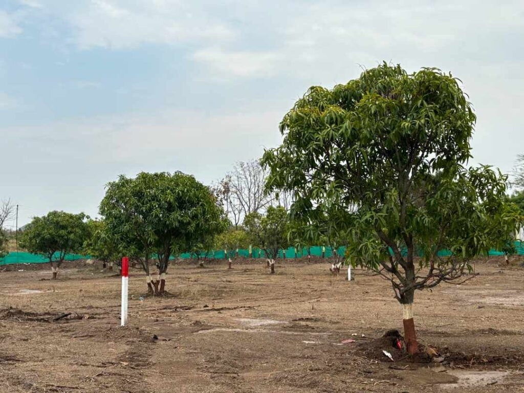 Teakwood Farm Project